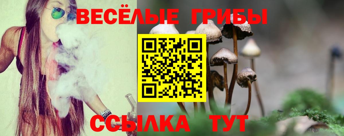 Галлюциногенные грибы Magic Shrooms  Вход с VPN  Кинель  Псилоцибиновые грибы ЛСД 